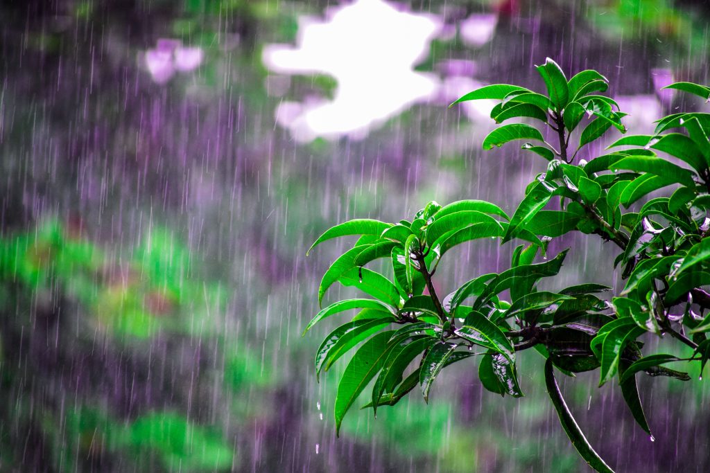Mumbai rain red alert flooding waterlogging 2026